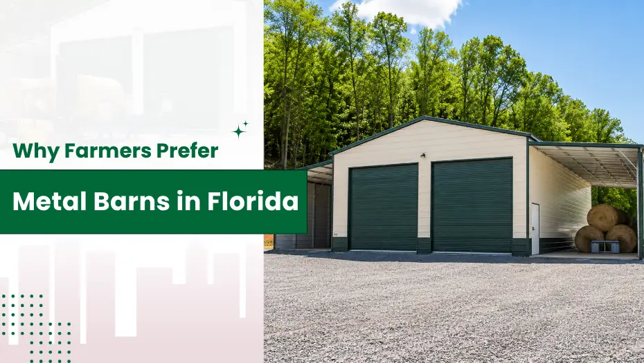 Why Farmers Prefer Metal Barns In Florida