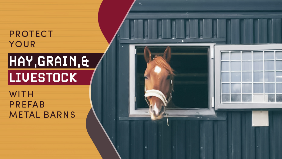 Previous Post