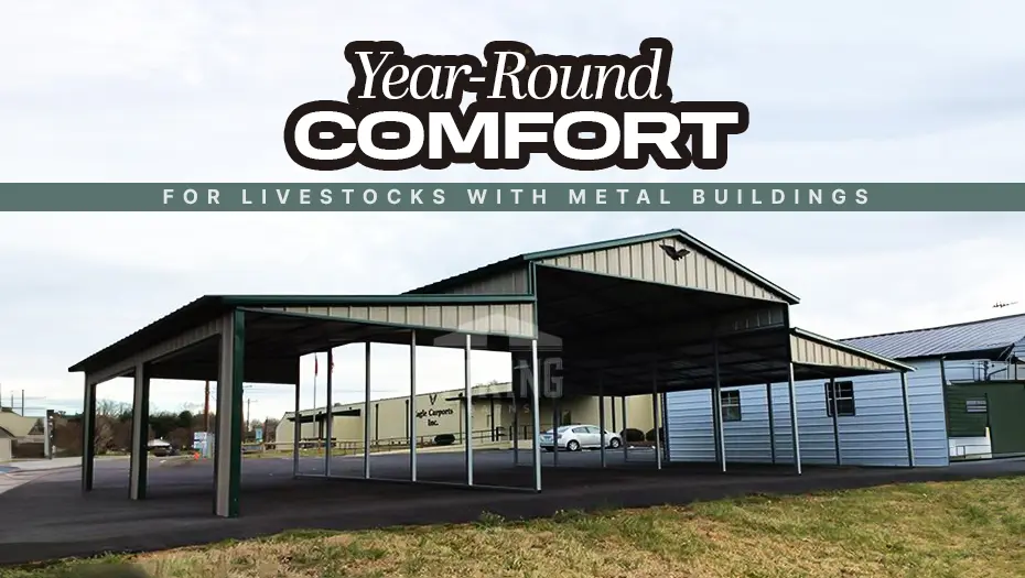 Year Round Comfort For Livestock With Metal Buildings