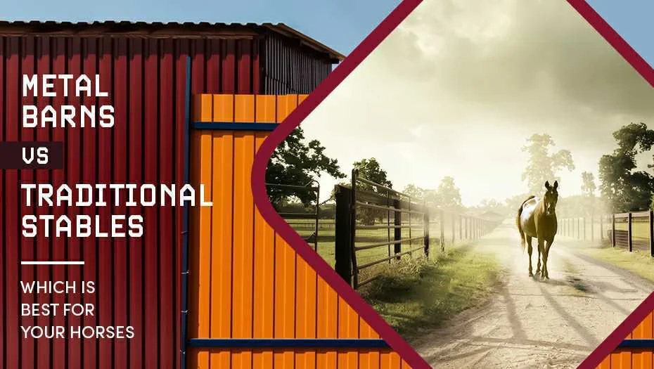 Metal Barns Vs Traditional Stables Which Is Best For Your Horse