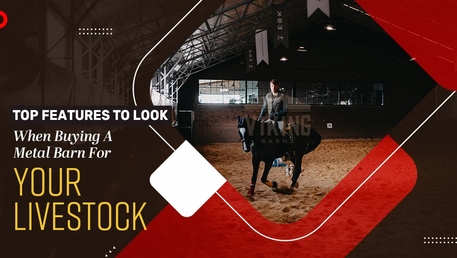 Top Features To Look For When Buying A Metal Barn For Your Livestock
