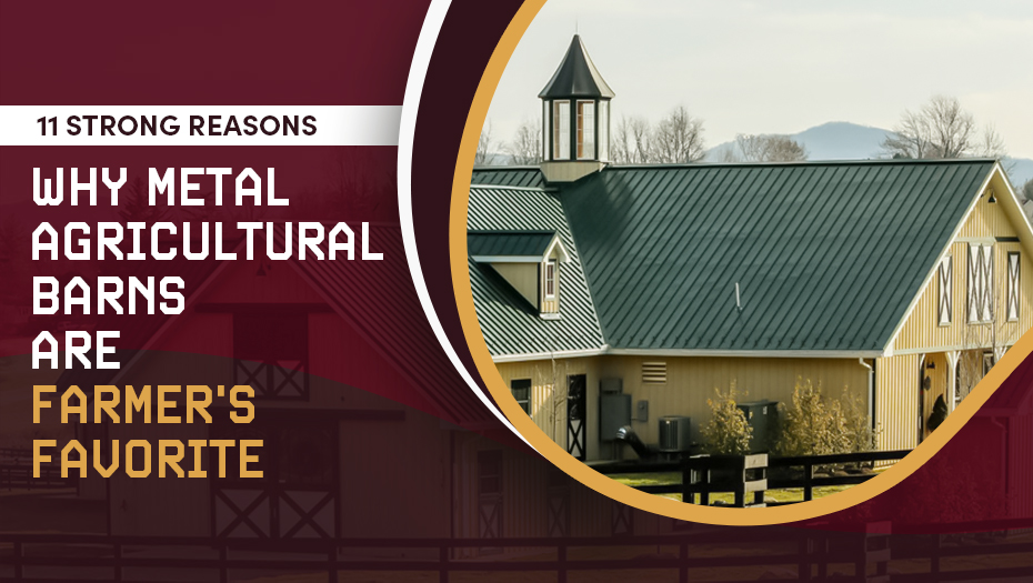 11 Strong Reasons Why Metal Agricultural Barns are Farmer’s Favourite