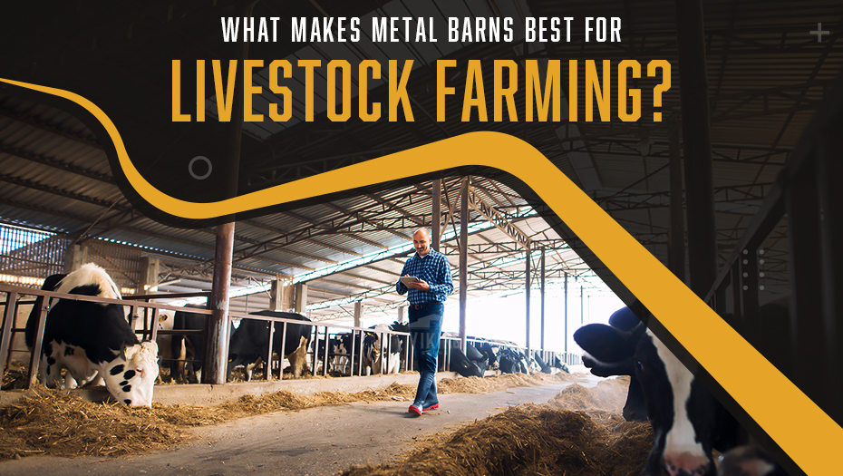 What Makes Metal Barns Best For Livestock Farming