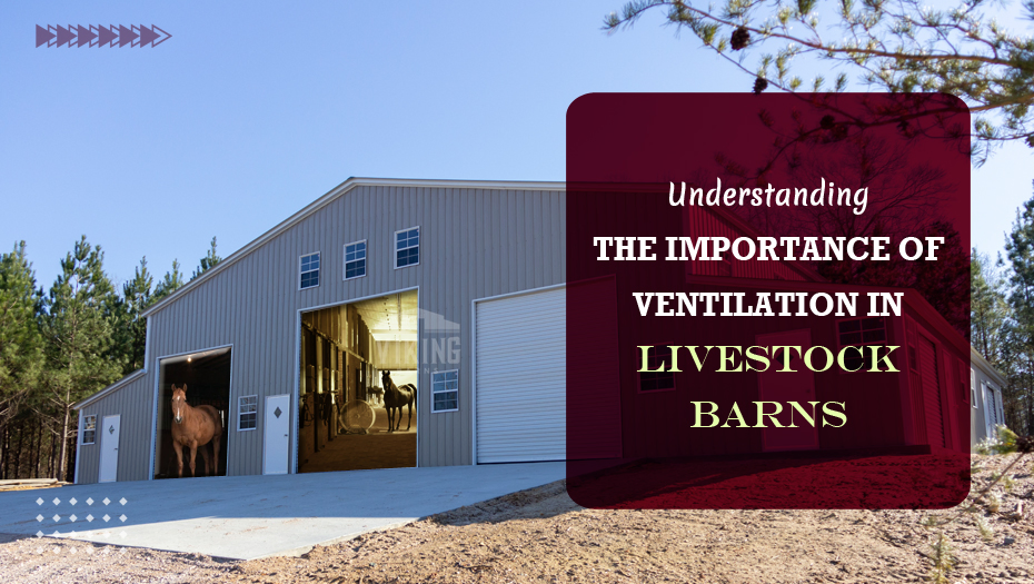 Understanding The Importance Of Ventilation In Livestock Barns