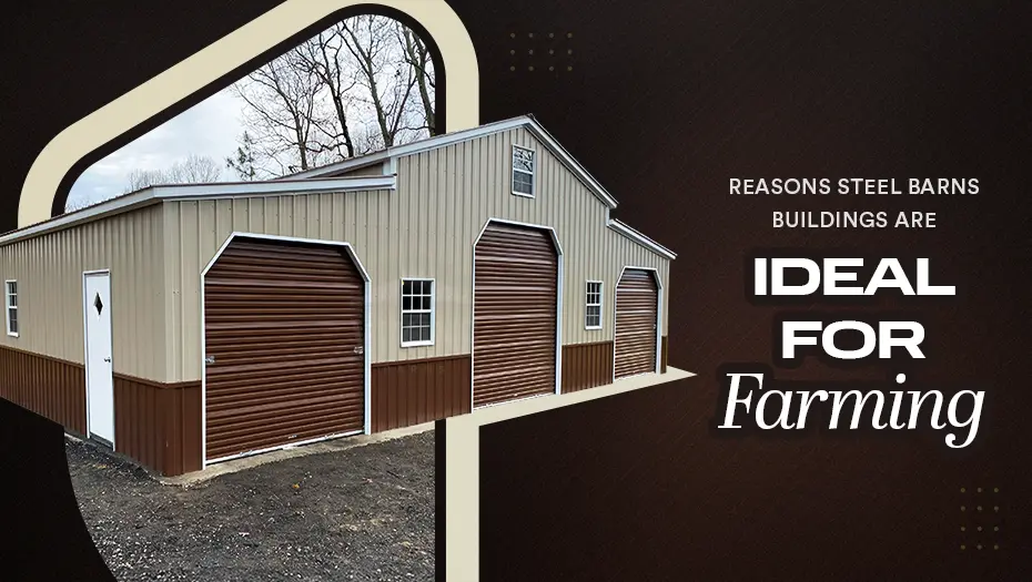 Reasons Steel Barns Buildings Are Ideal For Farming