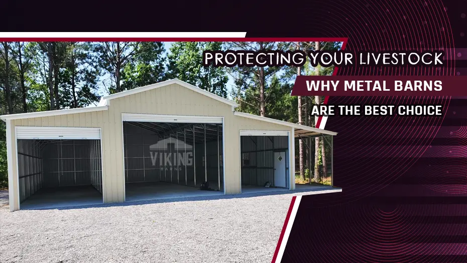 Protecting Your Livestock: Why Metal Barns Are The Best Choice