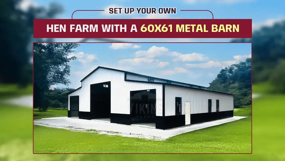 Set-up Your Own Hen Farm With a 60x61 Metal Barn